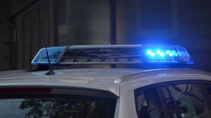 В Москве девушку насильно затолкали в машину